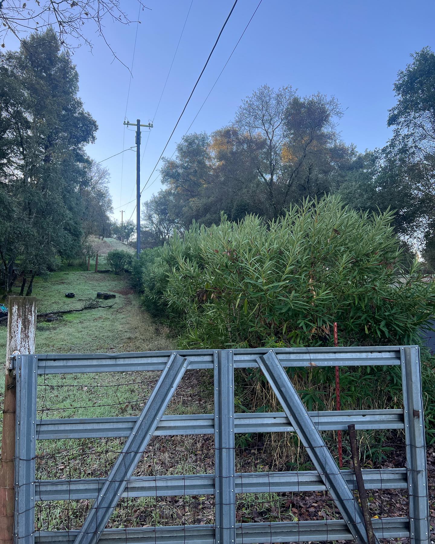 Rural property with metal gate and mowed grass field showing larger acreage maintenance