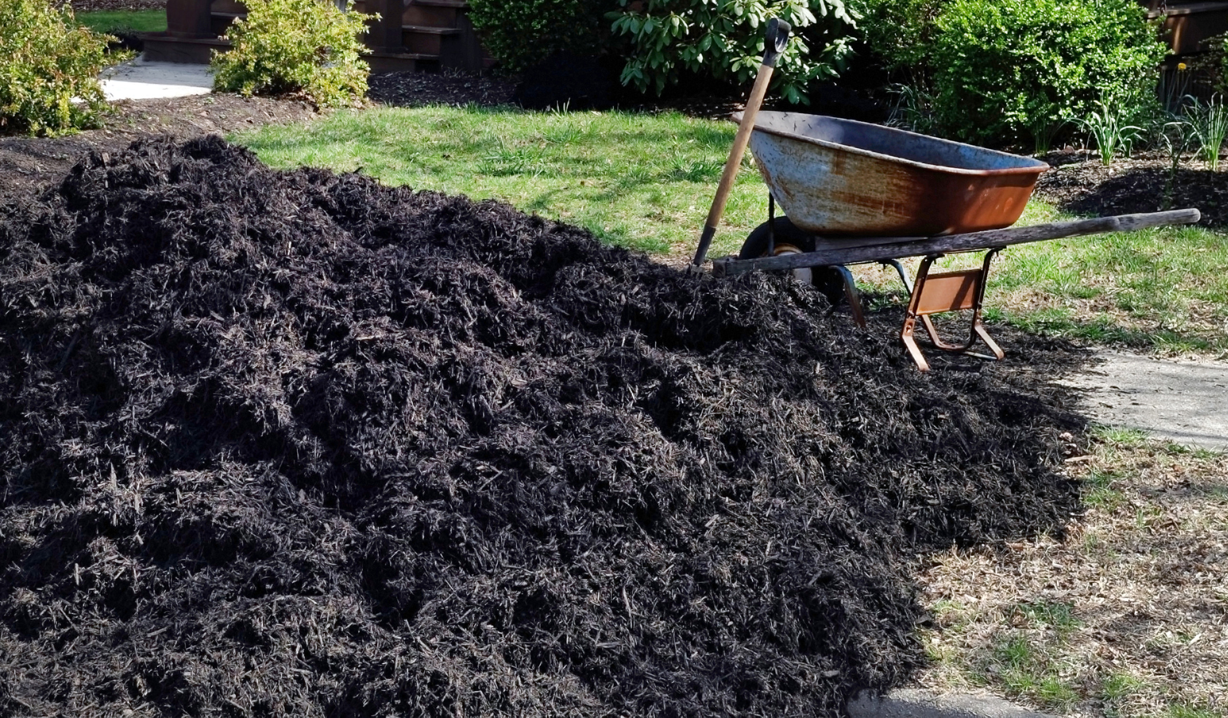 Red wheelbarrow filled with mulch and a shovel on a green lawn