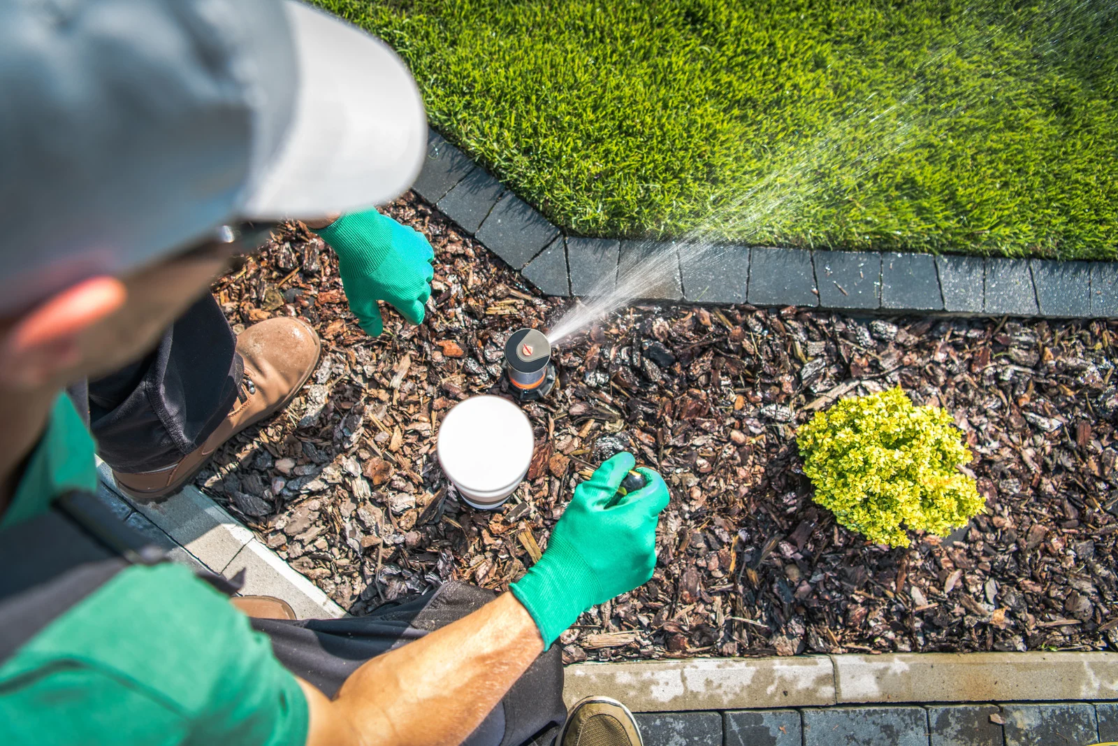 Worker adjusting a pop-up sprinkler head in a mulched garden bed